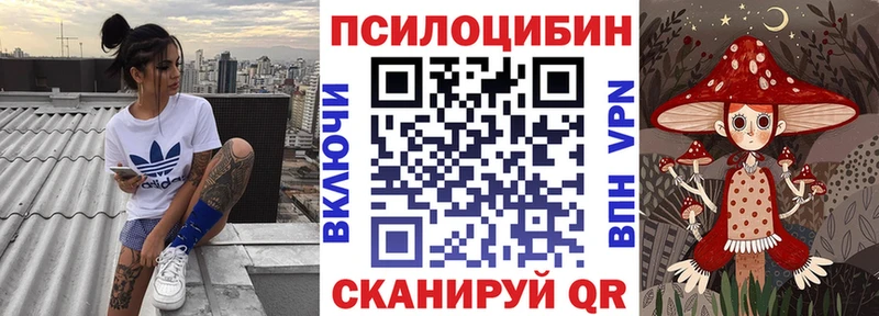 Галлюциногенные грибы Psilocybine cubensis  Новозыбков 